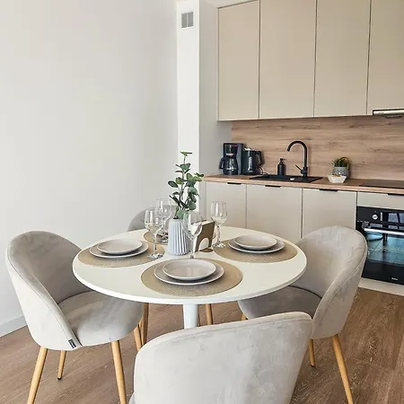 Apartment Kairos -aramis- Darmowy Parking, Klimatyzacja Olsztynek